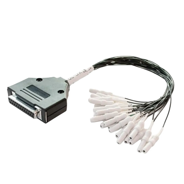 Adaptador para casquetes del sistema EEG Waveguard